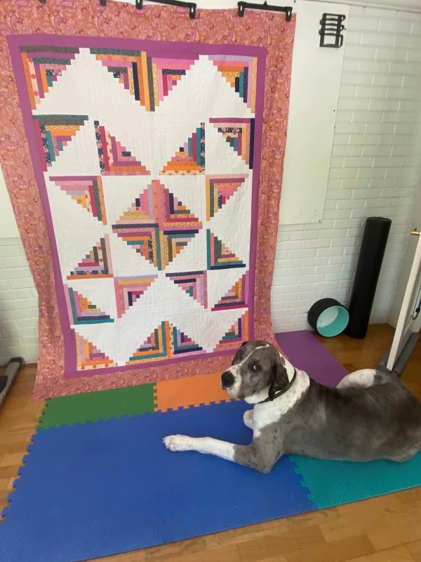 Corinne P. B.'s Finished GO! Scrappy Star Log Cabin Quilt with Her Dog